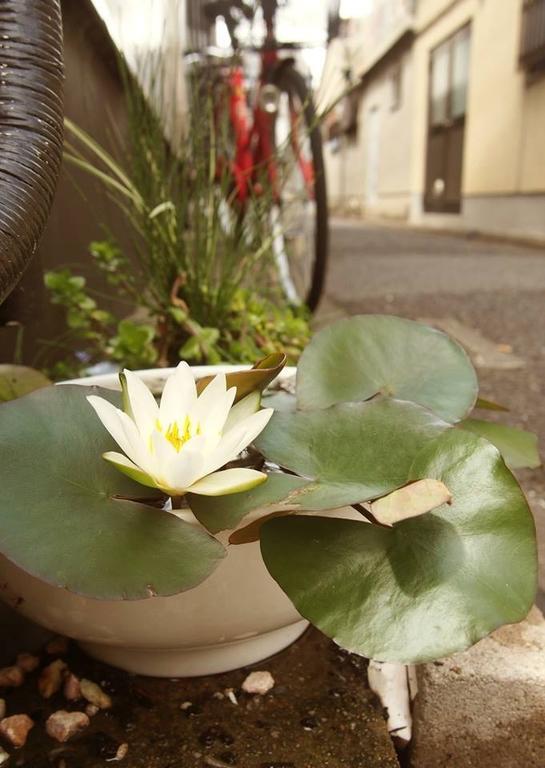 Love Kyoto Kyoenkan Chambre photo